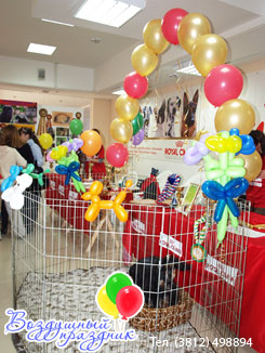 Оформление воздушными шарами выставки собак